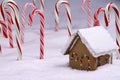 Ginger Bread Cottage in Candy Cane Forest Royalty Free Stock Photo