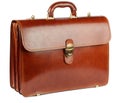 Ginger Briefcase Royalty Free Stock Photo