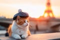 Ginger cat in beret in sunset, EIffel Tower on background. Generative AI Royalty Free Stock Photo