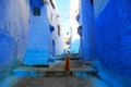 Ginger cat in a blue street Royalty Free Stock Photo