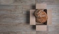 Ginger cat in a cardboard box looking curious up to the camera. Royalty Free Stock Photo