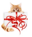Ginger Cat And Christmas Gift Package With Red Ribbon Bow, Isolated On White Background