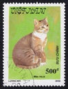 A ginger cat is depicted on a postage stamp printed in Vietnam. Royalty Free Stock Photo