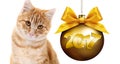 Ginger cat and golden christmas ball with gold satin ribbon bow Royalty Free Stock Photo