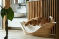 Ginger cat inside a stylish designer litter box in a contemporary bathroom. Royalty Free Stock Photo