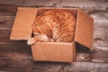 Ginger cat lies in box on wooden background in a new apartment. Fluffy pet is doing to sleep there. Keys to new home Royalty Free Stock Photo