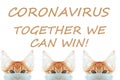 Cat in mask save you cat save life from coronavirus