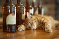 Ginger cat napping among wine bottles, epitome of cozy domesticity