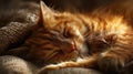 Ginger cat peacefully asleep, Ai Generated