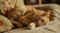 Ginger cat peacefully asleep, Ai Generated