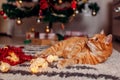 Ginger cat playing with garland under Christmas tree lying on floor. Christmas and New year concept Royalty Free Stock Photo
