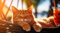 Sunlit Siesta: Ginger Cat Enjoying a Hammock Break. AI generation Royalty Free Stock Photo