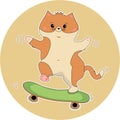 The ginger cat is riding a skateboard.