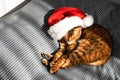 Ginger cat in Santa Claus red hat. Cat wearing Christmas cap. Spotted bengal Christmas cat lying on bed Royalty Free Stock Photo