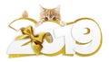 Ginger cat showing happy new year 2019 text with golden ribbon b Royalty Free Stock Photo
