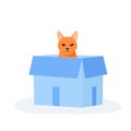 Ginger cat sits in box. Cute indoor pet plays in paper case. Hiding and resting place for fluffy fiend. Flat style