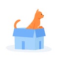 Ginger cat sits in box. Cute indoor pet plays in paper case. Hiding and resting place for fluffy fiend. Flat style