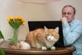 A ginger cat sits near the computer while the owner is working Royalty Free Stock Photo