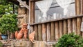 A ginger cat sits next to a ceramic Shi-sa figure.