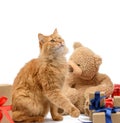 Ginger cat sitting in the middle of boxes wrapped in brown paper and tied with silk ribbon, gifts and an animal on a white Royalty Free Stock Photo