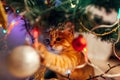 Ginger cat sitting under Christmas tree and playing with toys and lights. Christmas and New year concept Royalty Free Stock Photo