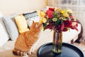 Ginger cat smelling autumn colored bouquet of flowers put in vase on table. Curious pet enjoys fragrance of plants