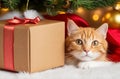 Ginger Cat Surprises from Gift Box Amidst Christmas Tree: Feline Festive Charm.