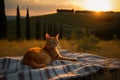 Ginger cat in Tuscany. Generative AI Royalty Free Stock Photo