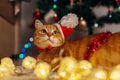 Ginger cat wears Santa`s hat under Christmas tree playing with lights. Christmas and New year concept Royalty Free Stock Photo