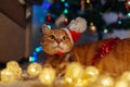 Ginger cat wears Santa`s hat under Christmas tree playing with lights. Christmas and New year concept Royalty Free Stock Photo