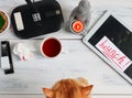 A ginger cat on a working table . Royalty Free Stock Photo