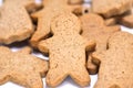 Ginger Cookie. Royalty Free Stock Photo