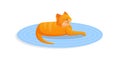 Ginger cute cat lies on a cozy carpet. Vector cartoon illustration. Royalty Free Stock Photo