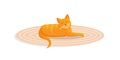 Ginger cute cat lies on a cozy carpet. Vector cartoon illustration. Royalty Free Stock Photo