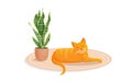 Ginger cute cat lies on a cozy carpet. Vector cartoon illustration. Royalty Free Stock Photo