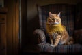 Ginger cute cat in plaid chair in living room. Generative AI