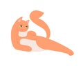 Ginger cute cat in stretching pose