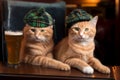 Ginger cute kitten in plaid and cap with beer in pub. Generative AI