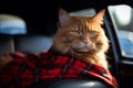 Ginger cute kitten in plaid sitting in cab. Generative AI