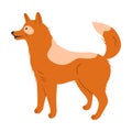 Ginger Dog as Domestic Pet in Standing Pose Vector Illustration