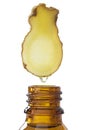 Ginger - Drop essential oil falls Royalty Free Stock Photo