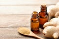 Ginger essential oil extract with powder and rhizome