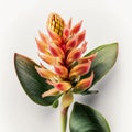 The Beauty of Simplicity Ginger Flower, Vibrant Blooms - Generative AI