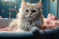 ginger fluffy Maine coon washes in the basin. cat spa. pet care. grooming pet