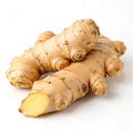 Ginger Royalty Free Stock Photo