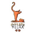 Ginger funny cat lies in a funny pose and smiles. Royalty Free Stock Photo