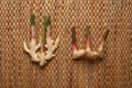 Ginger and Galangal roots on brown wallpaper showing texture of weave dried water hyacinth placemat.