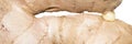 Ginger.Ginger root. Royalty Free Stock Photo
