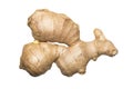 Ginger.Ginger root. Royalty Free Stock Photo
