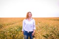 Ginger girl in a wheat field Royalty Free Stock Photo